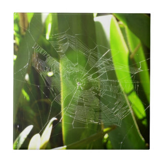 Spiderweb in Tropical Leaves Nature Tile