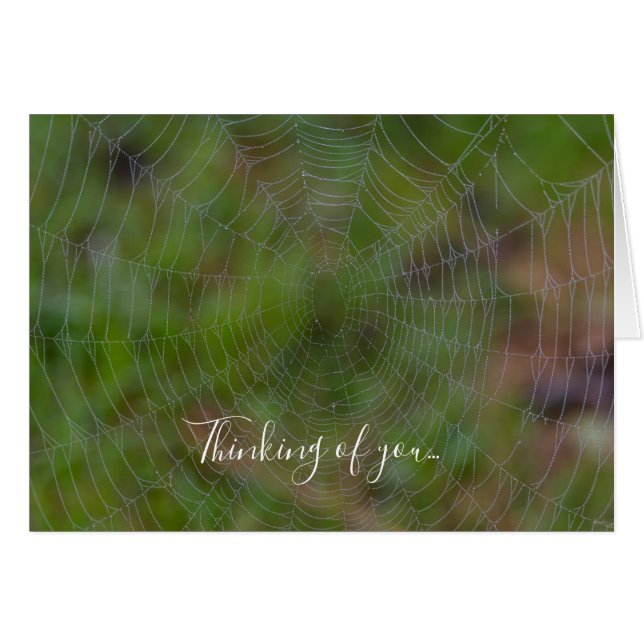 Spiderweb With Droplets Thinking Of You Card (Front Horizontal)