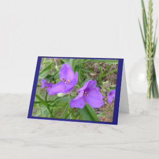 Spiderwort Flowers Blank Note Card