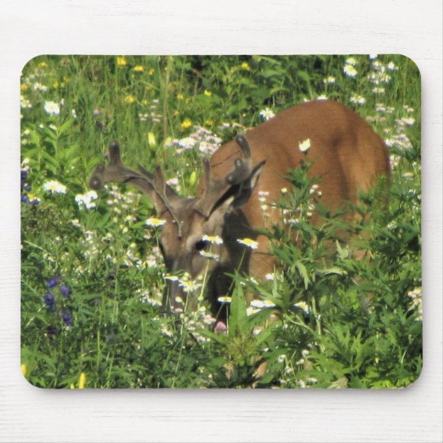 Spike Buck Browsing the Spring Gardens Mouse Pad (Front)
