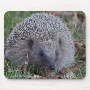 Spike Mousemat