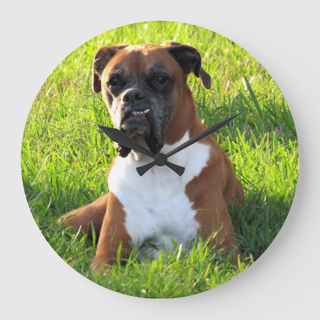 Spike the Boxer - Dog - Wall Clock (Front)