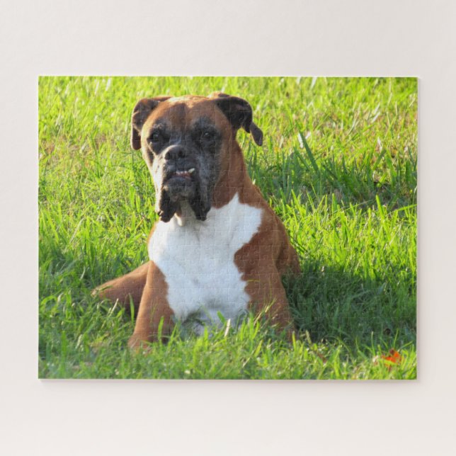 Spike the Boxer  - Puzzle (Horizontal)