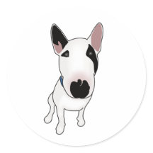 Spike the English Bull Terrier