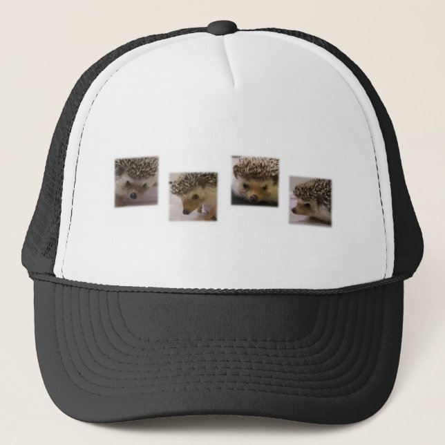 Spike the Hedgie Trucker Hat (Front)