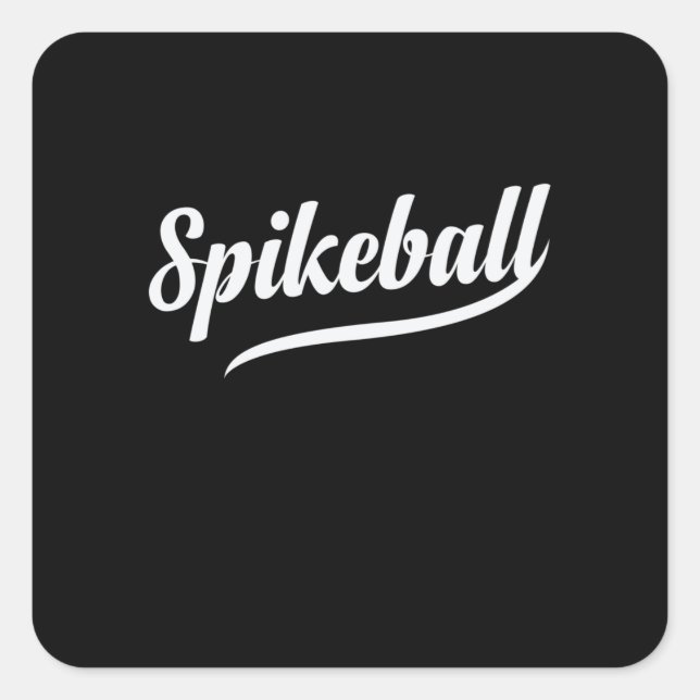 Spikeball Leisure Sport Hobby Roundball Square Sticker (Front)