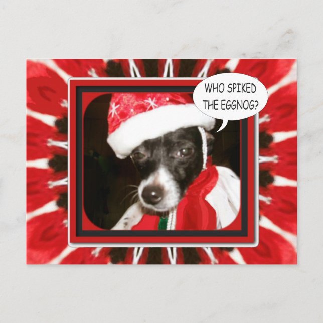 Spiked Eggnog Dog Postcard (Front)