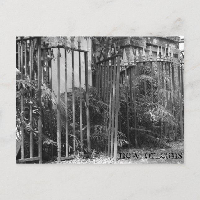 Spiked Fence Postcard (Front)