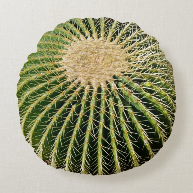 Spikey Look Cactus Cushion (Front)