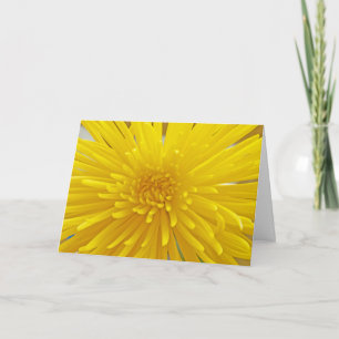 Spiky Yellow Dahlia Close Up Photograph Card