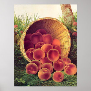 Spilled Peaches Poster
