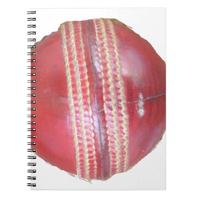 Spin Master's Sphere: A Fun Left Spin Cricket Ball Notebook (Front)