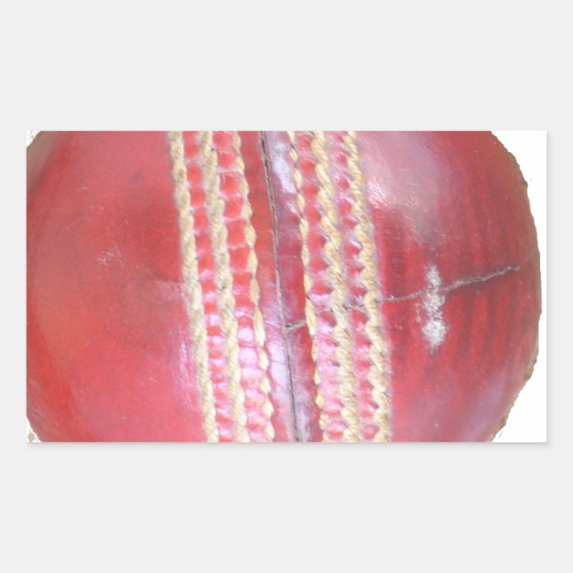 Spin Master's Sphere: A Fun Left Spin Cricket Ball Rectangular Sticker (Front)