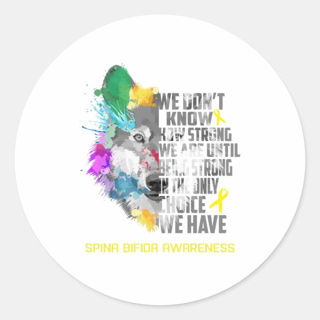 Spina Bifida Awareness Ribbon Support Gifts Classic Round Sticker (Front)