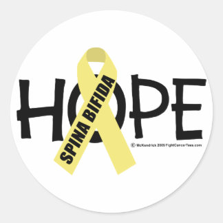 Spina Bifida Hope Classic Round Sticker