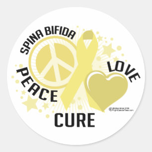 Spina Bifida PLC Classic Round Sticker