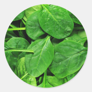 Spinach Classic Round Sticker