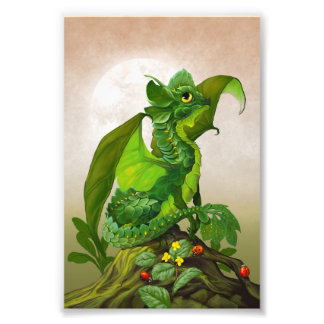 Spinach Dragon 4x6 Print