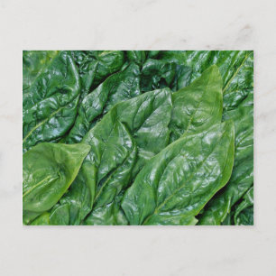Spinach leaves postcard