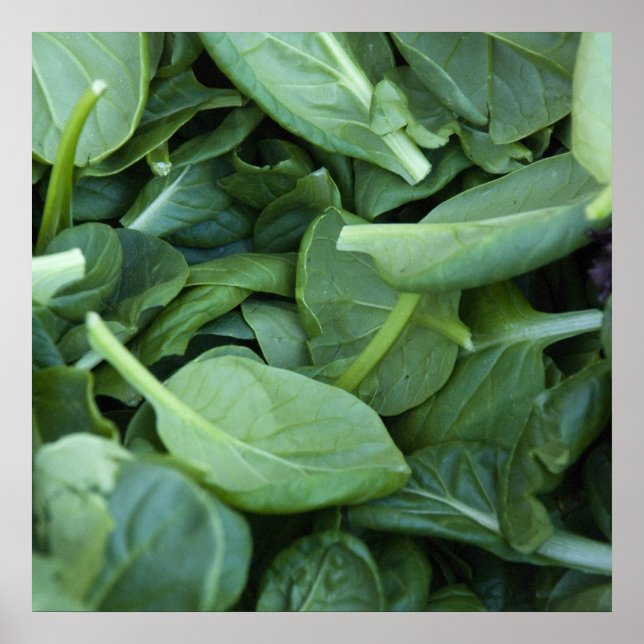 Spinach Leaves Poster (Front)