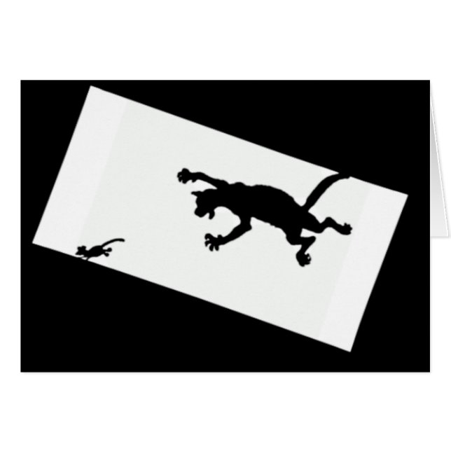 Spinderok - Cat Chasing Mouse (Front Horizontal)