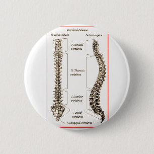 Spine Details Sepia2 6 Cm Round Badge
