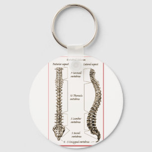 Spine Details Sepia2 Key Ring