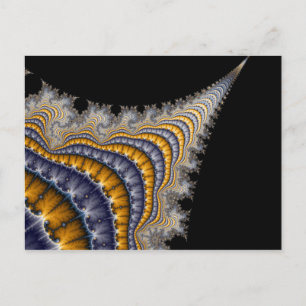 Spine_fractal Postcard