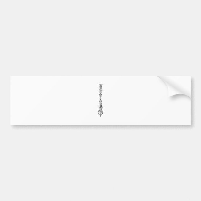 Spine Grey Bumper Sticker (Front)