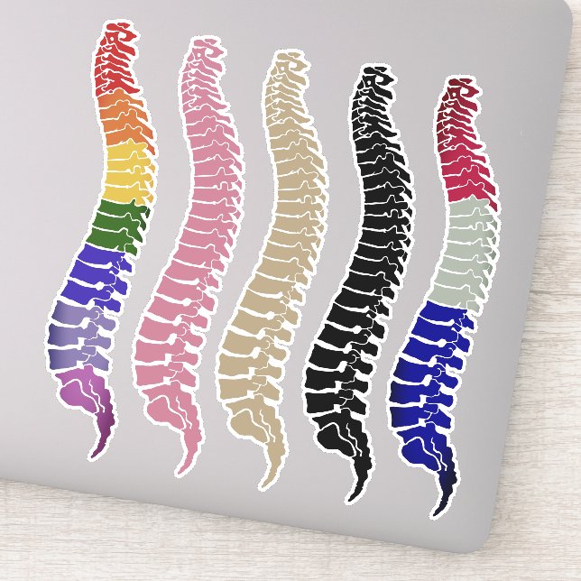 Spine laptop decals, spine stickers, chiropractic (Detail)