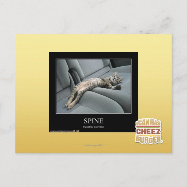 Spine Postcard (Front)
