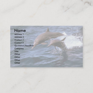 Spinner dolphin business card