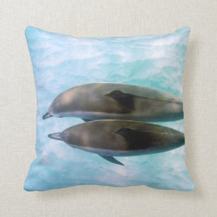 Spinner Dolphins Oahu Hawaii Cushion