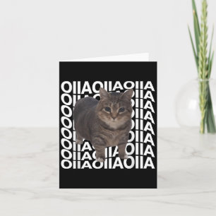 Spinning Cat Meme Oiiaoiia Silly Cat Meme Cat Love Card