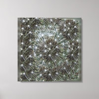 Spinning dandelion puff