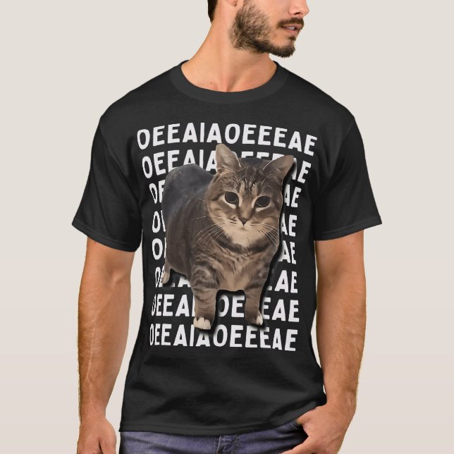 Spinning OIIAOIIA Cat Meme T-Shirt (Front)