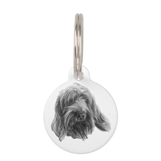 Spinone Field Walker Pet Tag (Front)