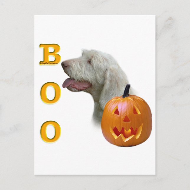 Spinone Italiano Boo Postcard (Front)