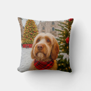 Spinone Italiano  Cushion