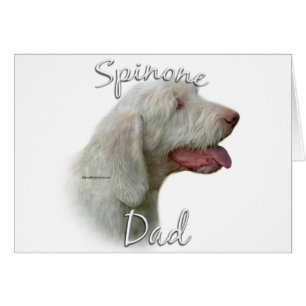 Spinone Italiano Dad 2