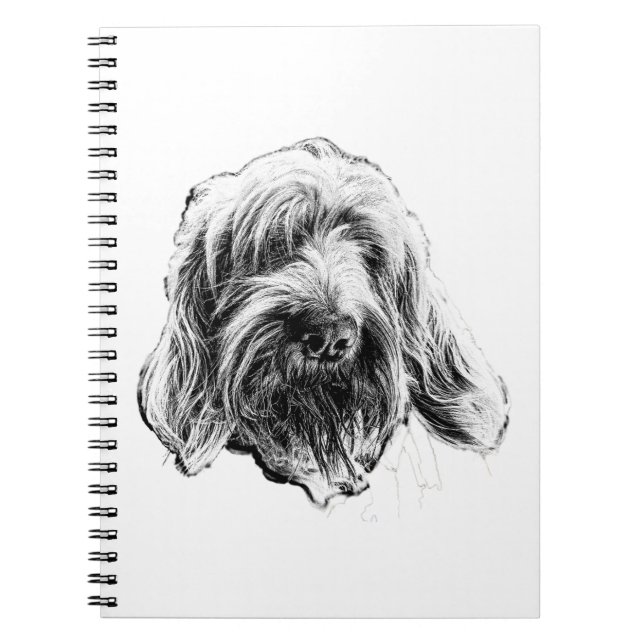 Spinone Italiano Dog Notebook (Front)