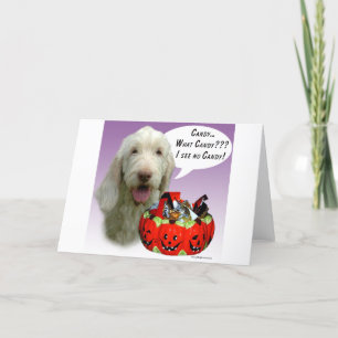 Spinone Italiano Halloween Candy Card