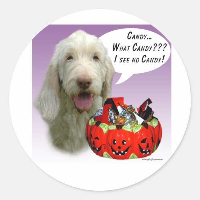Spinone Italiano Halloween Candy Classic Round Sticker (Front)