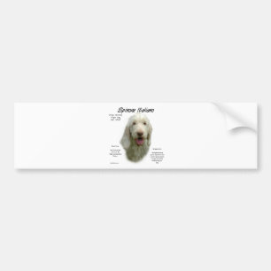 Spinone Italiano History Design Bumper Sticker