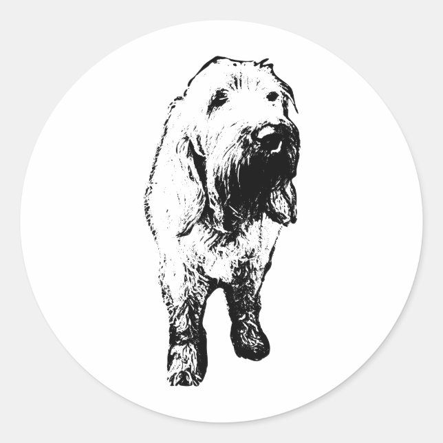 Spinone Italiano Sticker – Bold Standing Dog (Front)