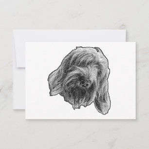 Spinone Kind Thanks Thank You Card