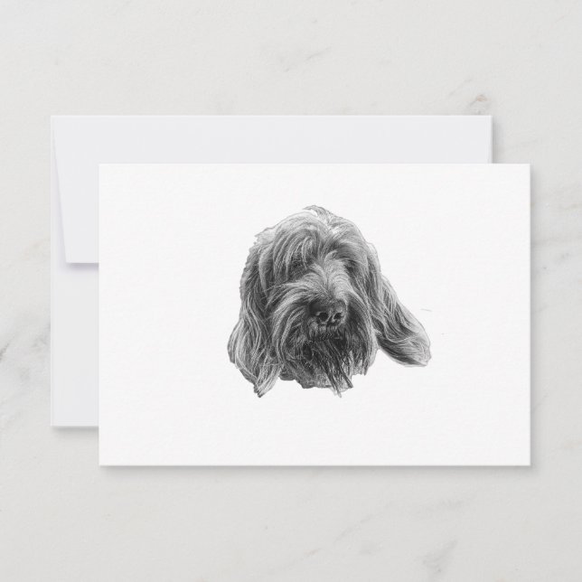 Spinone Quiet Thanks Thank You Card (Front)