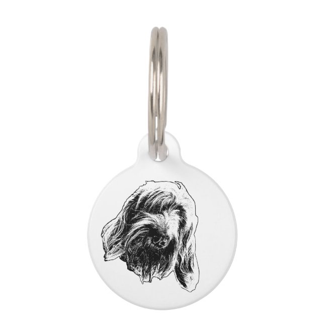 Spinone Steady Walker Pet Tag (Front)