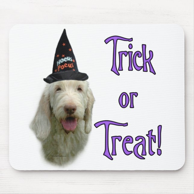 Spinone Trick Mousepad (Front)