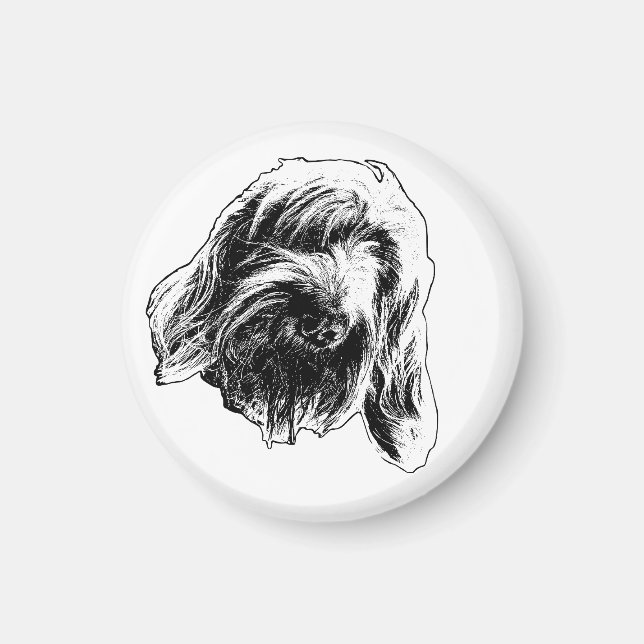 Spinone Warm Counter Magnet (Front)